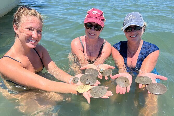 Private Island Eco Tours on a Private Boat from Shackleford Banks - How to Make the Most of Your Day