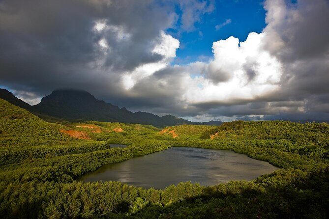 Private Kauai 5-Hour Eastside & Waterfalls Tour - Who Should Consider This Tour?