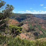 Private Kauai Island Tour : Waimea Canyon, Kalalau Lookout + More - Who Is This Tour Best For?