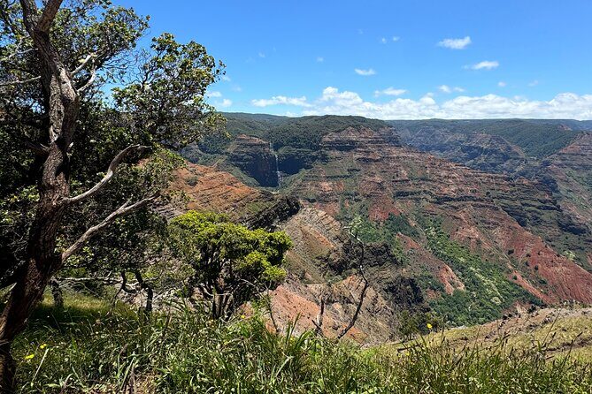Private Kauai Island Tour : Waimea Canyon, Kalalau Lookout + More - Who Is This Tour Best For?