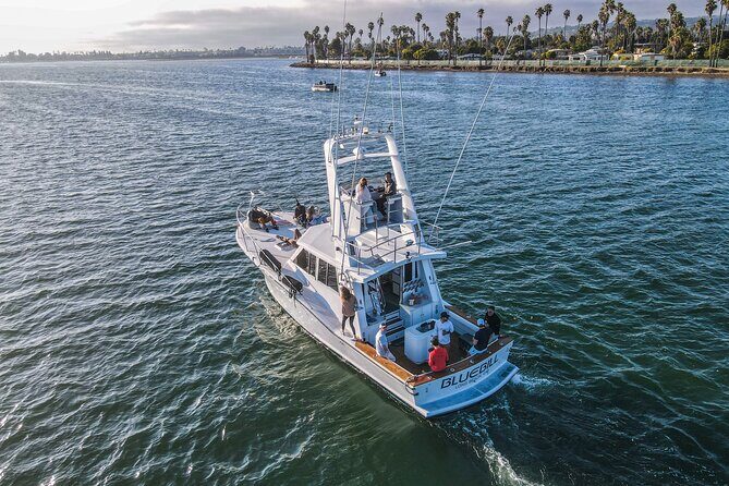 Private Luxury Whale Watching Tour in San Diego - Who Should Consider This Tour?