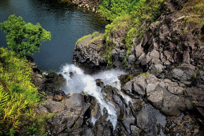 Private Maui Redwood Hiking Experience - Final Thoughts: Who Should Book This Tour?