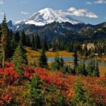 Private Mt Rainier National Park Tour in SUV - Final Thoughts