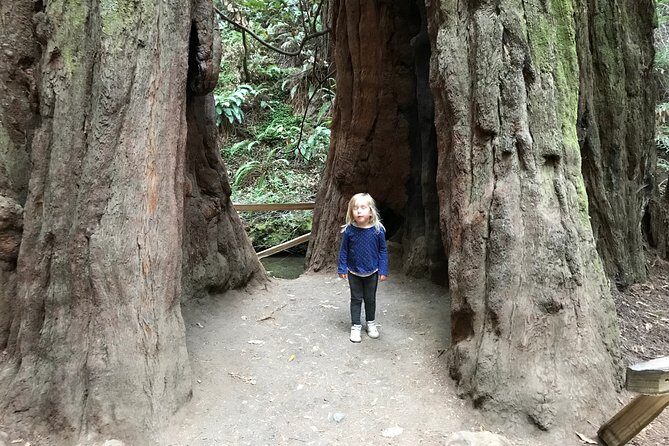 Private Muir Woods and Sausalito Half Day Tour - Final Thoughts