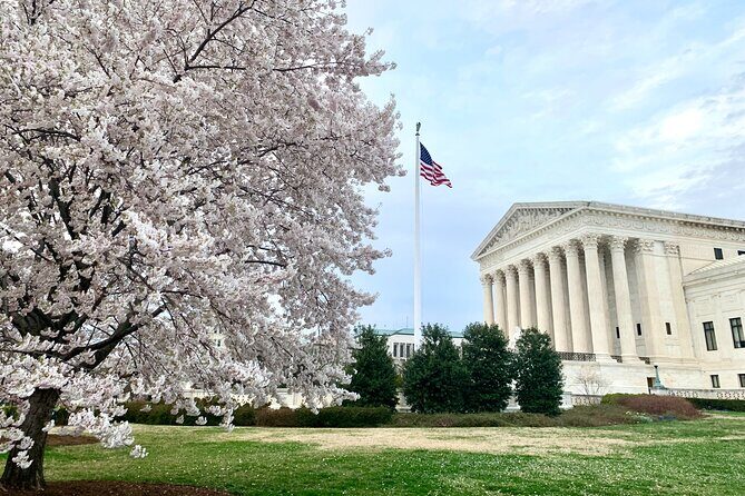 Private Photoshoot Outside the White House & Supreme Court - How the Photoshoot Unfolds: Step-by-Step