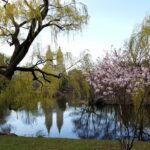 Private Scenic Central Park Walking Tour - The Value of a Private Guided Tour
