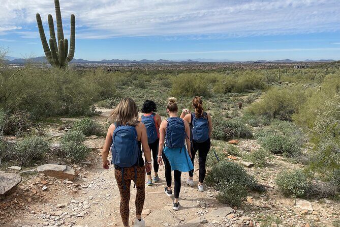 Private Scottsdale Day Hiking Tour - Real Experiences from Past Participants