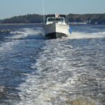 Private Sightseeing Boat Tour in Savannah - Practical Details & What You Should Know