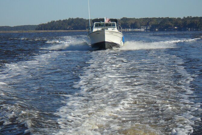 Private Sightseeing Boat Tour in Savannah - Practical Details & What You Should Know