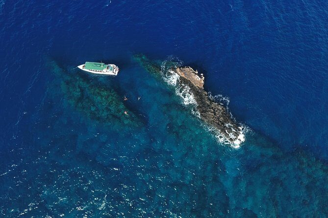 Private Snorkel Tour 3 Hrs 1 stop from Kaanapali Beach - The Experience Breakdown