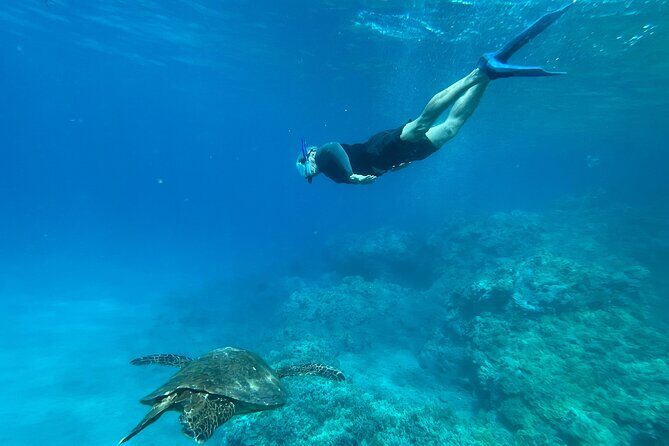 Private Snorkel with Beach Set-Up - Final Thoughts