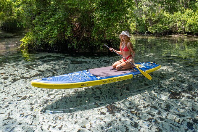 Private Snorkeling Expedition in the Florida Springs - Who Will Love This Tour?