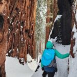 Private Snowshoe Adventure - Sequoia National Park - The Value of This Tour
