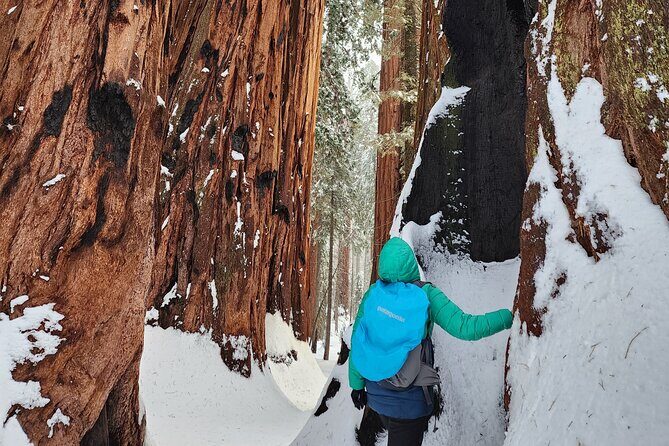 Private Snowshoe Adventure - Sequoia National Park - The Value of This Tour