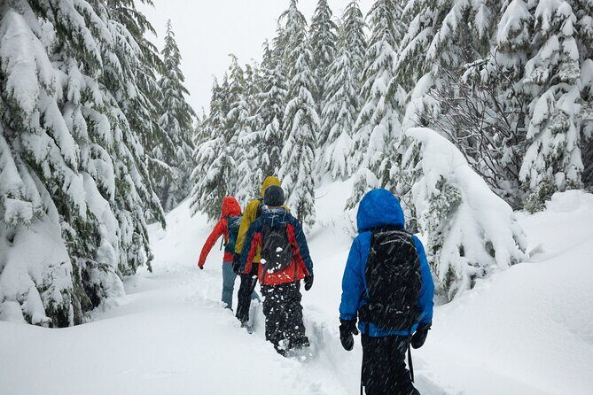 Private Snowshoeing Adventure from Badger Pass to Dewey Point - Analyzing the Value