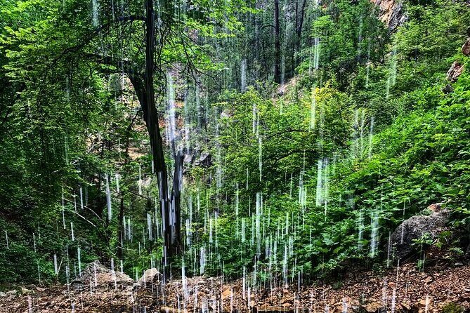 Private Spearfish Canyon Hike - The Sum Up