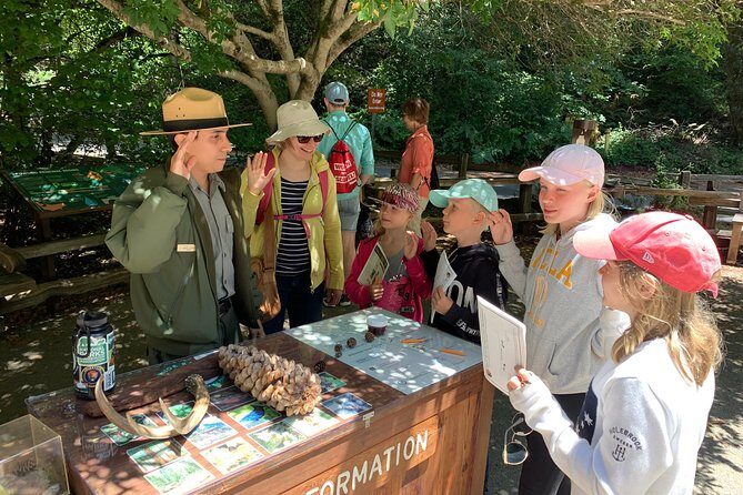 Private Tour Muir Woods and Sausalito - Who Would Love This Tour?