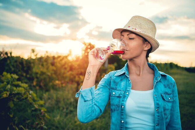 Private Tour: Napa and Sonoma Wine Country - A Deep Dive Into the Napa & Sonoma Private Wine Tour