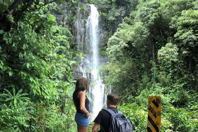 Private Tour : OAHU, MAUI, KAUAI or BIG ISLAND : Pick any Island - What Travelers Can Expect