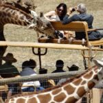 Private Tour of Sonoma Wild Safari Animal Park and Sonoma Redwoods - The Itinerary: What to Expect from This Full-Day Adventure