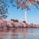 Private Tour of Washington DC - Is this tour worth it?