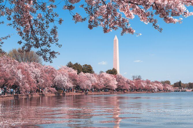 Private Tour of Washington DC - Is this tour worth it?