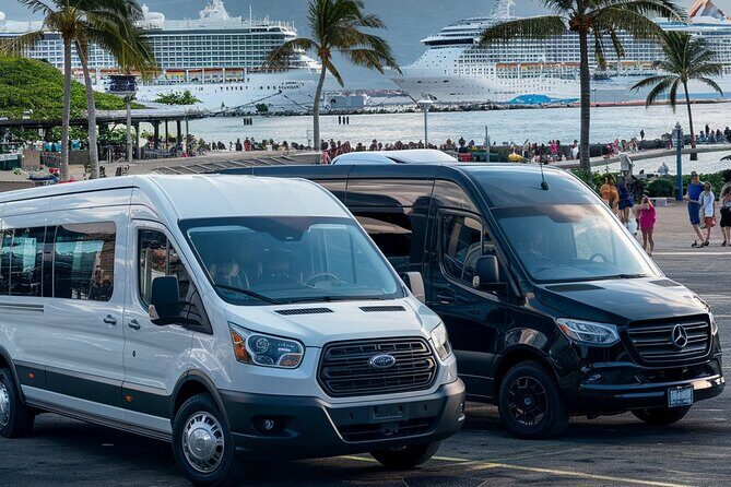 Private Transfer from Cruise Terminal and Oahu hotel and Airport - Who Might Find This Transfer Ideal?