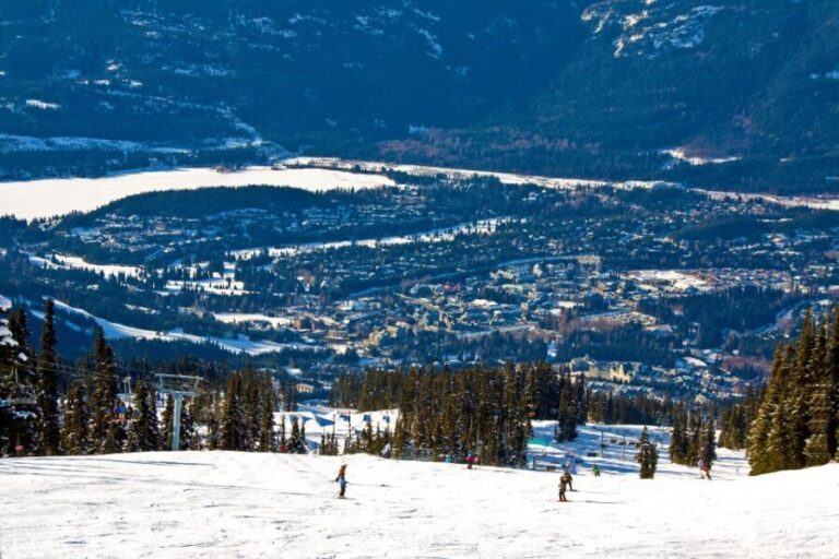 Private Transfer from Whistler to SeaTac or Seattle Downtown - The Vehicles and Drivers