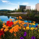 Private Transportation Between Fairbanks and Denali National Park - FAQ