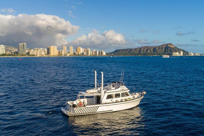 Private Turtle Canyon Snorkel Tour - Up to 6 Passengers - A Closer Look at the Experience