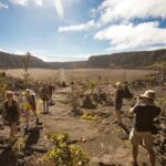 Private VAN Tour Hilo - Who Will Love This Tour?
