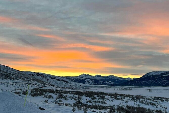 Private/VIP Wildlife Winter Safari of Yellowstone - Final Thoughts: Is This Tour Worth It?