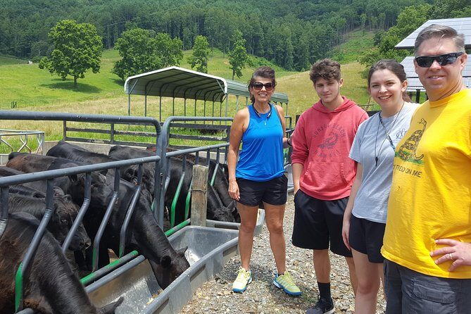 Private Walking Tour of a Real Working Cattle Ranch - The Sum Up