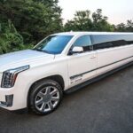 Private Washington DC Moonlight Tours - Who Is This Tour Best Suited For?