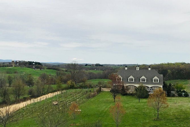 Private Washington DC Virginia Winery Wine Tasting Tour -Spirited - The Experience from a Review Perspective