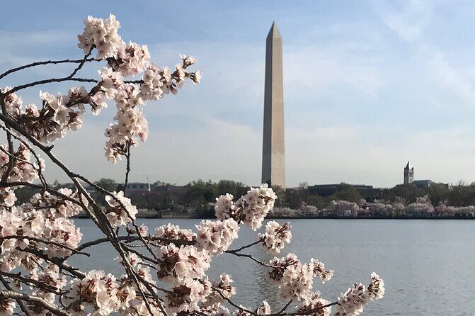 Private Washington Monuments Tour - The Value of this Private Tour