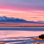 Private Wildlife and Scenic tour on Antelope Island - The Experience in Detail