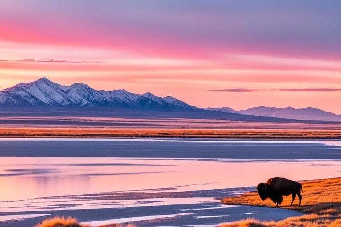Private Wildlife and Scenic tour on Antelope Island - The Experience in Detail