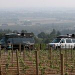 Private - Willamette Valley Wine Tour From Portland (tasting fees included) - Why the Private Experience Matters