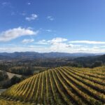 Private Wine Tour from San Francisco to Napa - FAQ