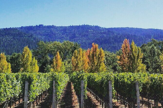 Private Wine Tour of Napa Valley - The Sum Up