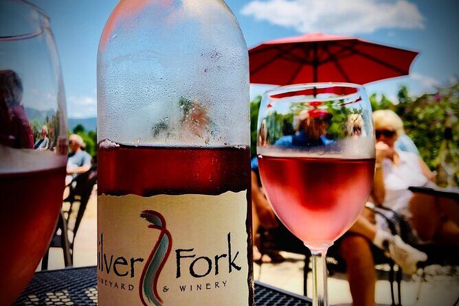 Private Wine Tour with Dine in Black Mountain from Asheville - Considerations for Travelers