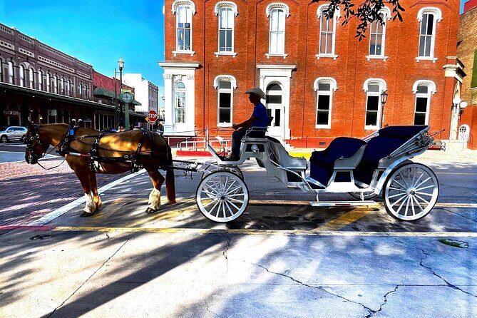 Public Group Historical Carriage Tour of Galveston - Why This Tour Offers Real Value