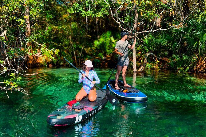 Rainbow Springs Paddle Adventure - Who Is This Tour Best For?