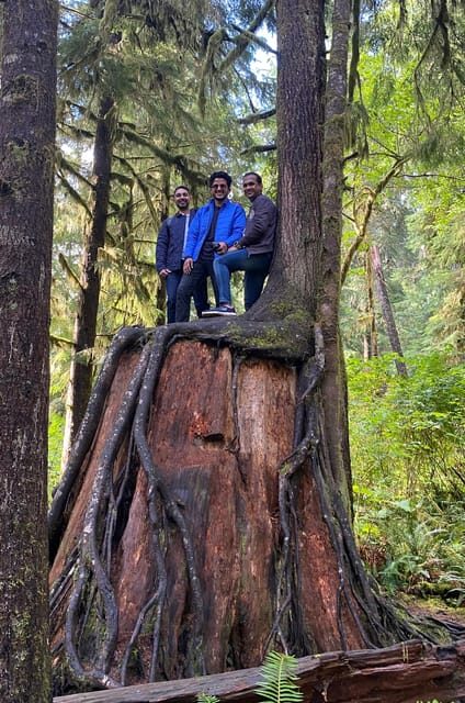 Rainforest and Olympic National Park Highlights - Is this Tour Worth the Price?