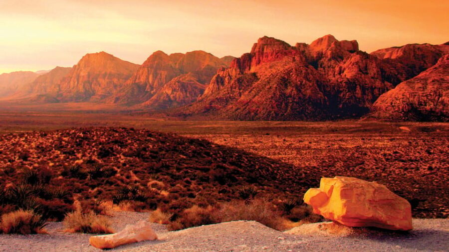 Red Rock Canyon Guided Automatic Slingshot Tour - Who Should Book This Tour?