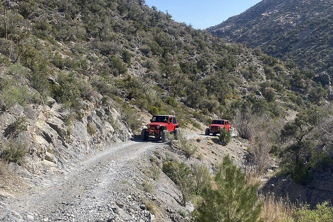 Red Rock Canyon Half Day Jeep Tour Offroad Adventure - Authentic Reviewer Insights