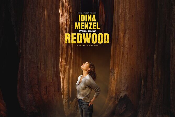 Redwood Starring Idina Menzel on Broadway Ticket - Who Should Consider This Tour?