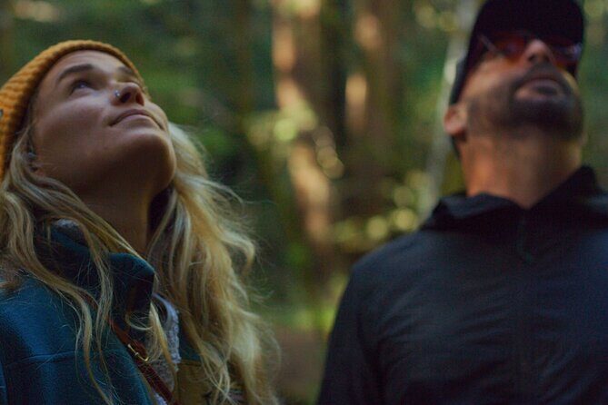 Redwoods Forest Bathing - The Practicalities: Price, Duration, and Booking