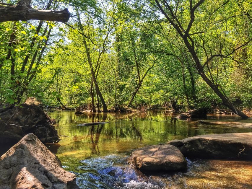 Richmond: Guided Hike in James River Park - Who Should Consider This Tour?